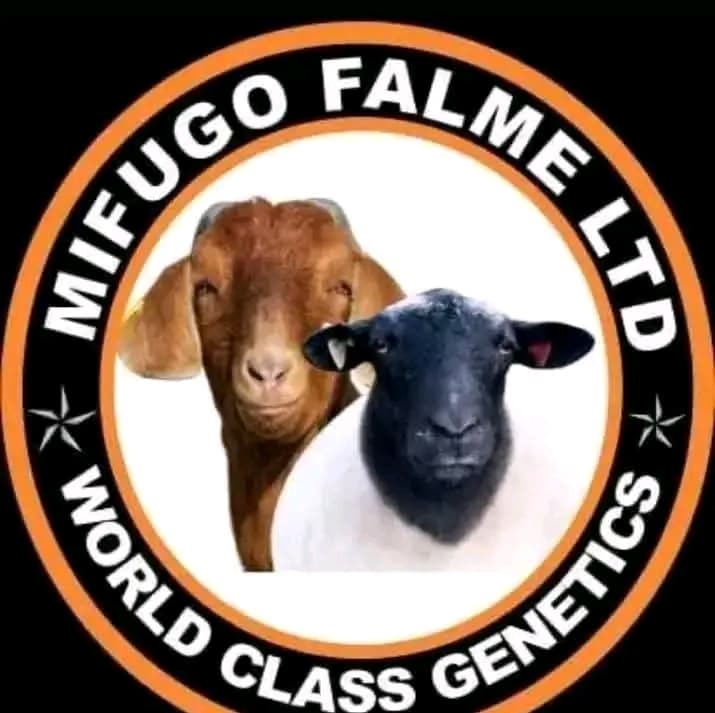 Mifugo Falme Farm Logo