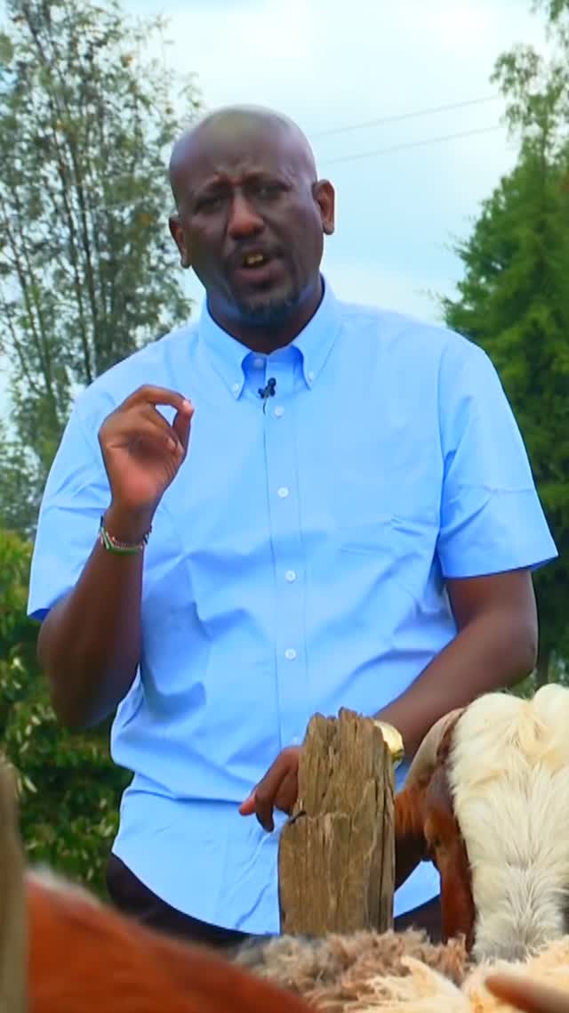 Farm Tour with Our Farmer